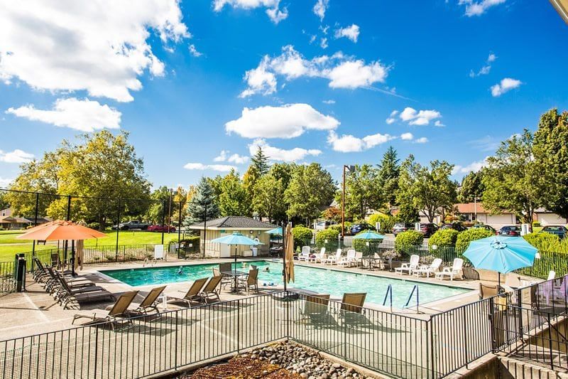 A sunny outdoor swimming pool area with lounge chairs and surrounding greenery.