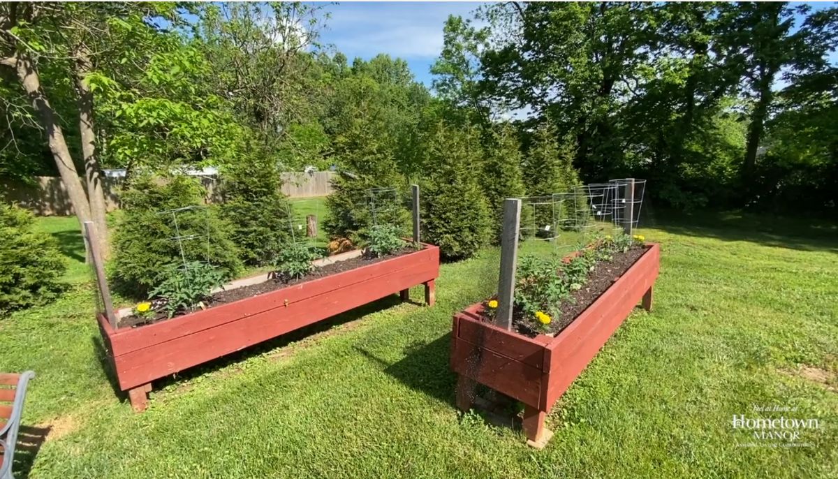 A lush outdoor scene featuring raised garden beds filled with a variety of plants, surrounded by green trees.