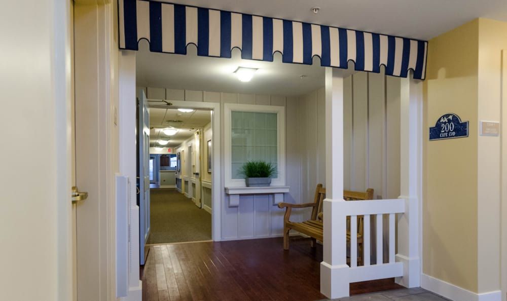 A cozy hallway interior featuring a wooden bench, striped awning, and decorative plant.