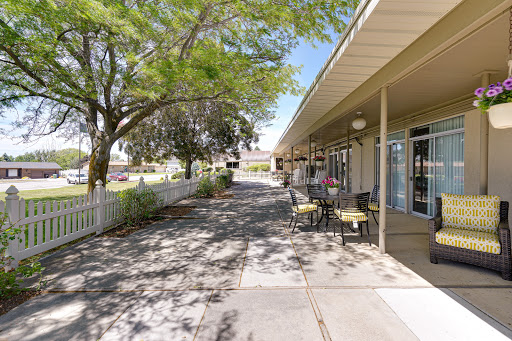 A serene outdoor walkway lined with trees and chairs, leading to a row of buildings in a sunny atmosphere.
