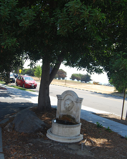 A decorative fountain beside a tree along a quiet street.