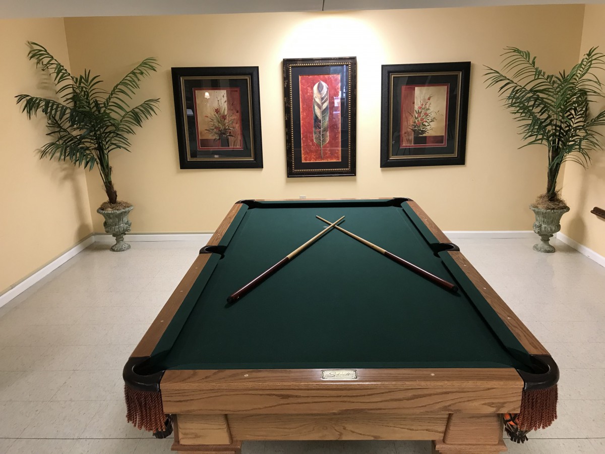 A stylish game room featuring a green pool table with cue sticks crossed on top, surrounded by framed artwork and decorative plants.