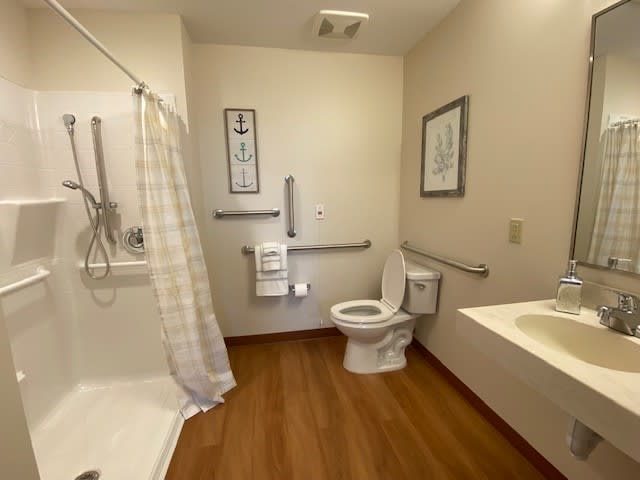 A modern accessible bathroom with a shower, toilet, and bathtub equipped with grab bars.