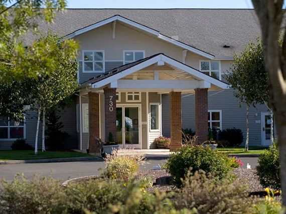 A sunny view of a building entrance surrounded by greenery.