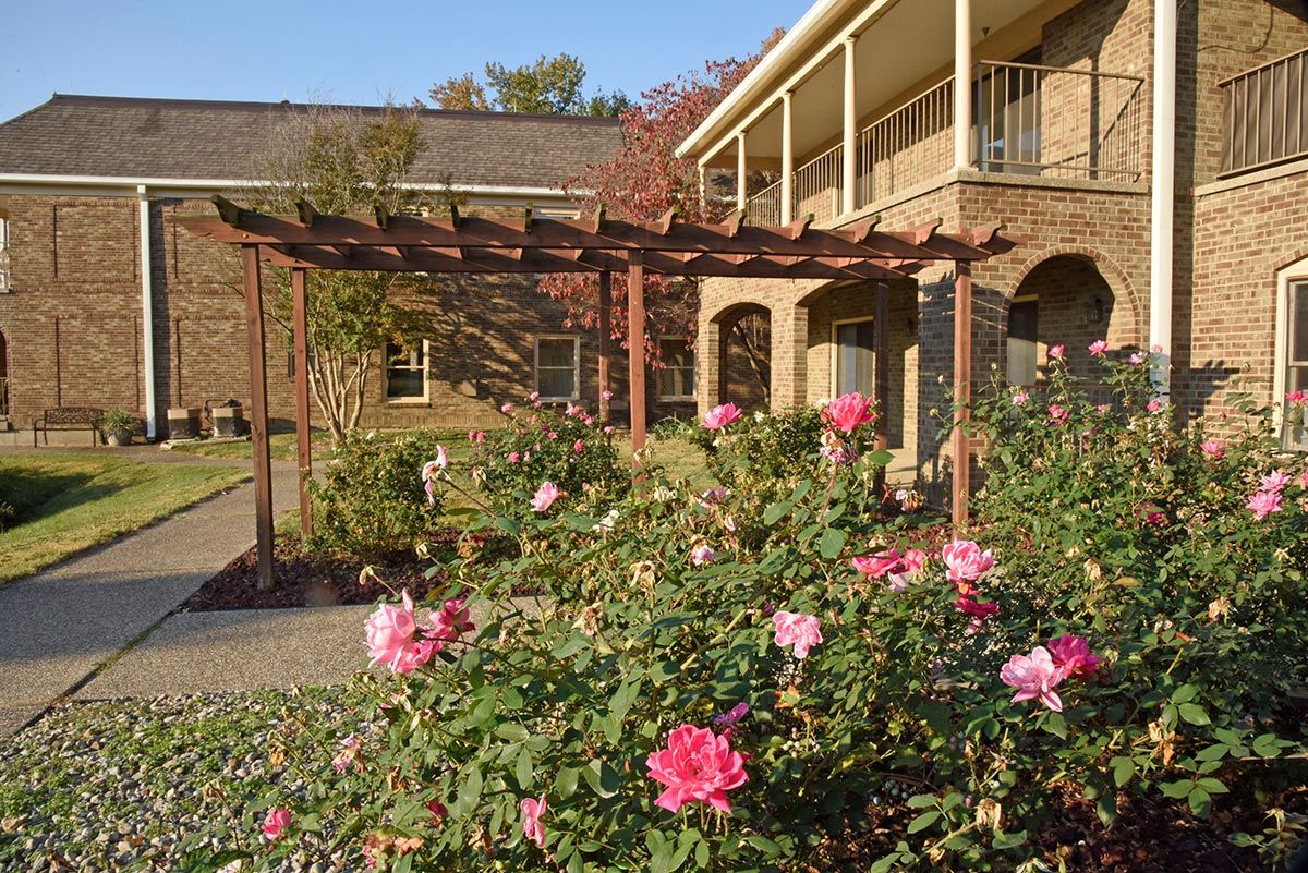 A serene garden with blooming pink roses and a wooden pergola near a building.