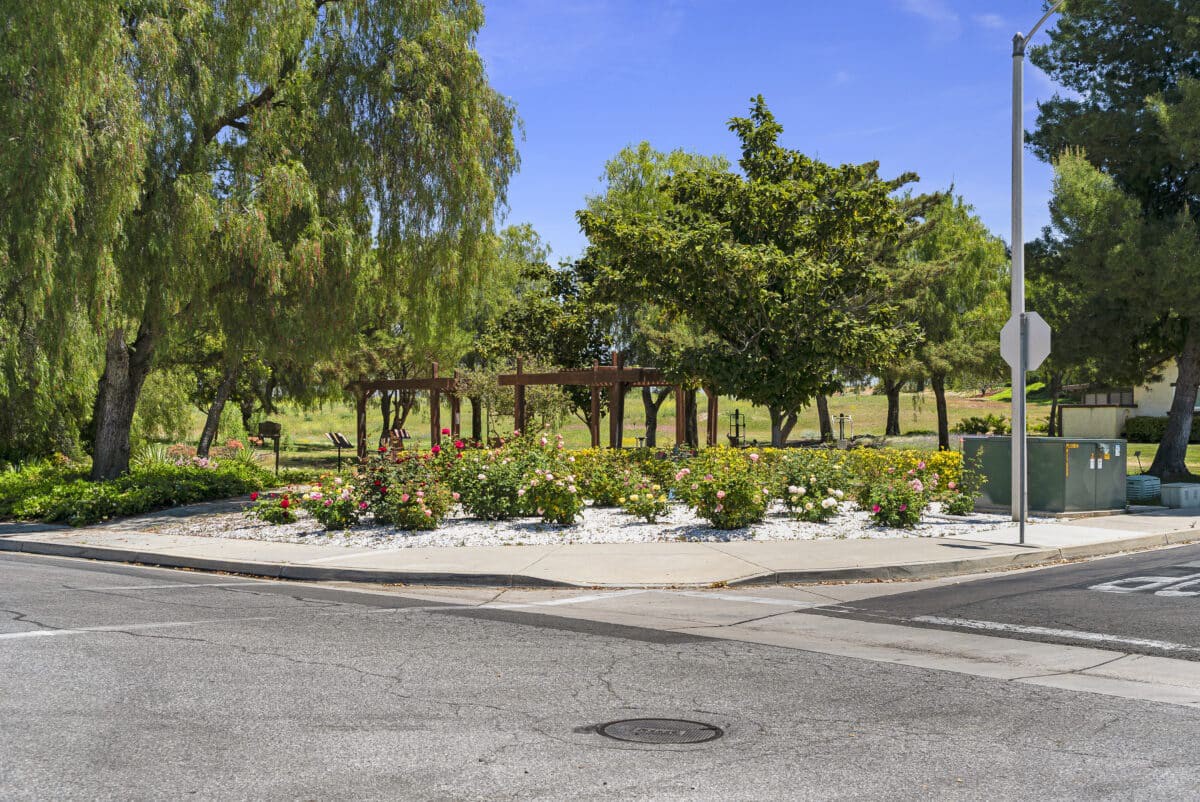 A sunny day at a landscaped park corner with lush greenery.