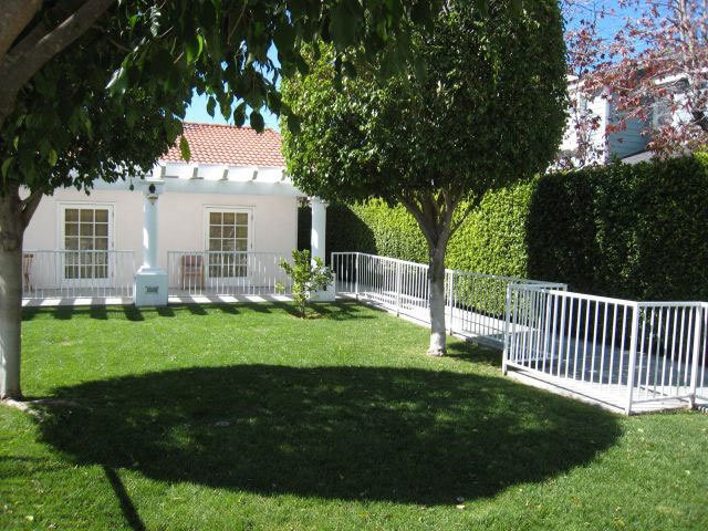 A sunny yard featuring a neatly trimmed lawn, tree, and a white fence in front of a house.