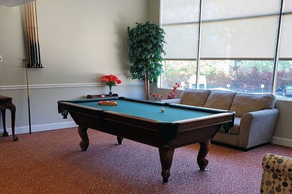 A cozy living room featuring a pool table with a cue ball and rack of balls, surrounded by a comfortable couch and decorative plants.