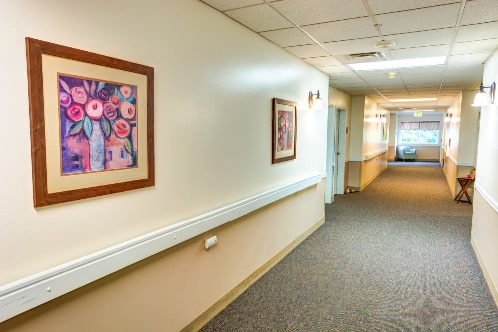 A hospital hallway with artwork adorning the walls and ceiling lights illuminating the corridor.