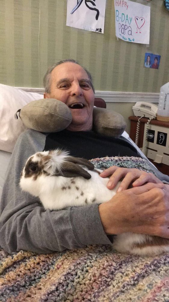 An elderly man smiling while lying in a hospital bed with a therapy rabbit resting on his chest.