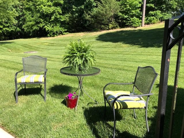 A sunny garden scene with chairs and a table featuring potted plants.