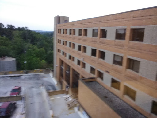 A view of a multi-story brick building surrounded by greenery.