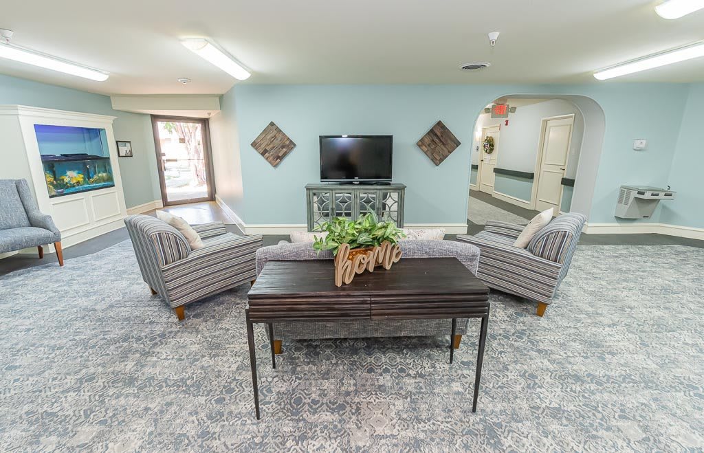 A modern living room featuring a television, two striped sofas, and a coffee table with decorative plants.