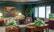 A cozy living room with sofas, an armchair, a lamp, and decorative plants.