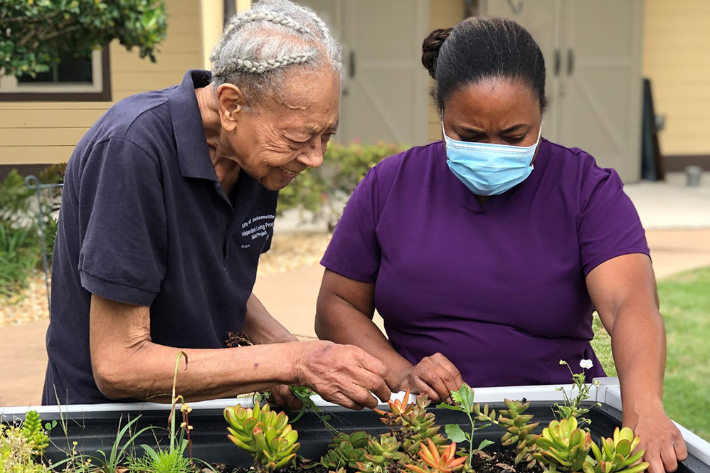 An elderly person and a caregiver tending to plants together in a garden.