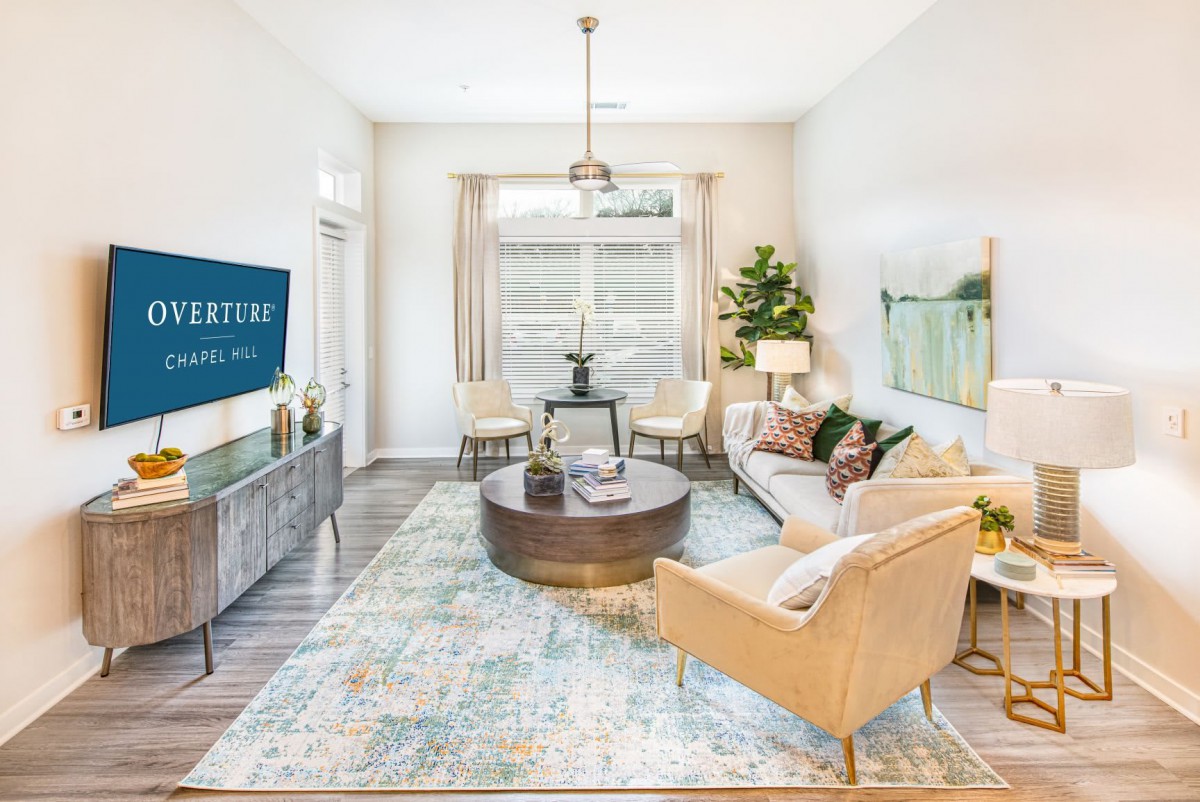 A modern living room featuring stylish furniture, a central coffee table, and a large rug with ample natural light.