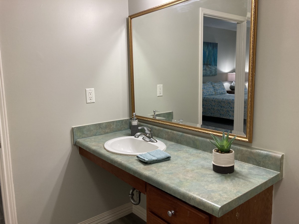 A well-organized bathroom vanity with a sink, mirror, and decorative plant.