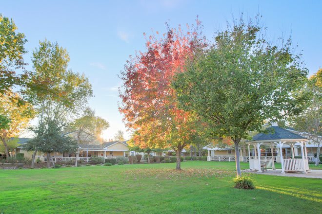 A picturesque yard with a gazebo and trees showcasing autumn colors at sunset.