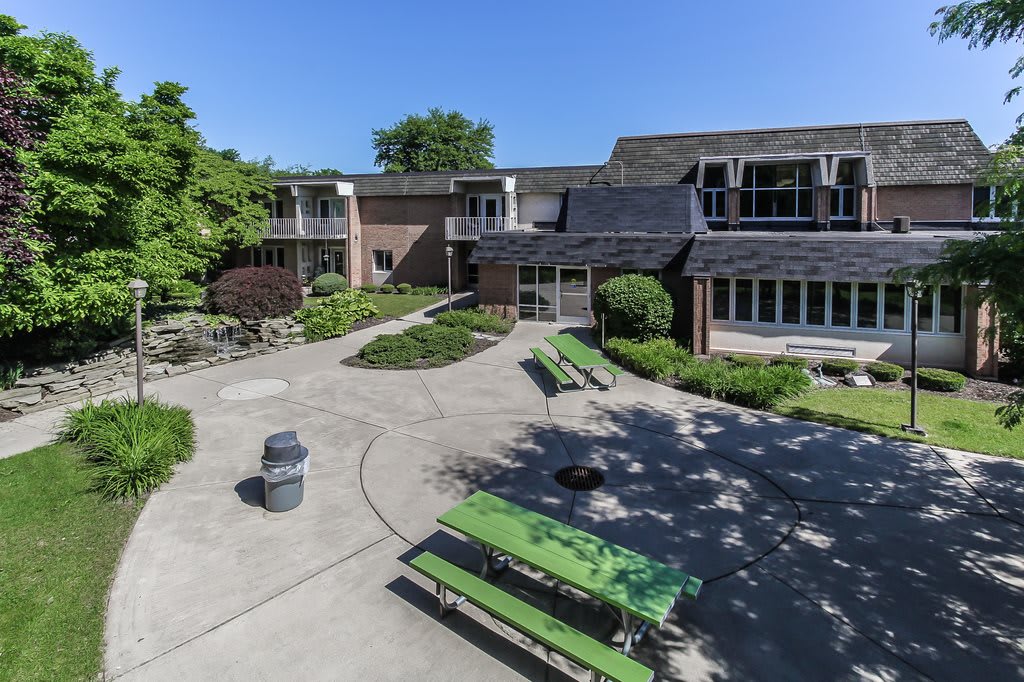 A school courtyard with benches and greenery on a sunny day.