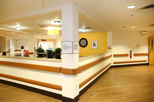 A welcoming reception area in a healthcare facility featuring bright yellow walls and greenery.