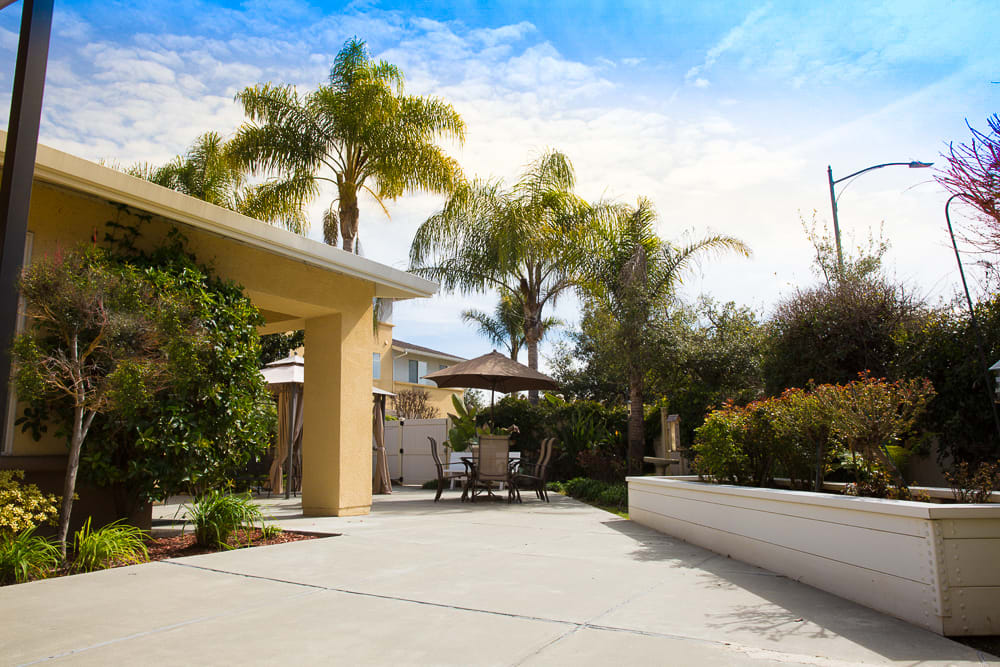 A sunny backyard patio featuring palm trees and lush landscaping.