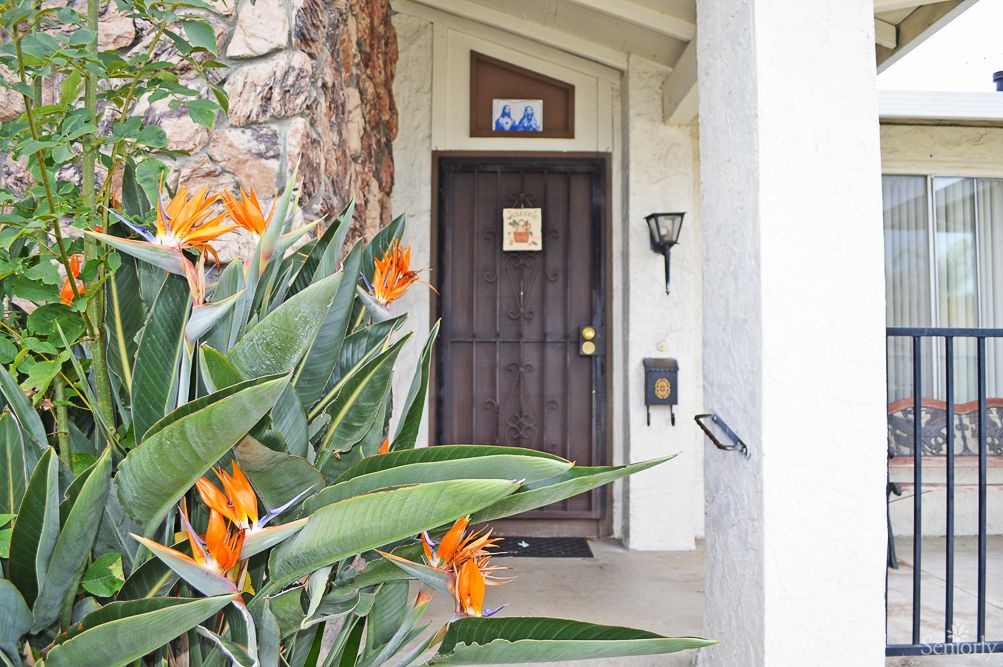 A welcoming entrance with tropical Bird of Paradise flowers beside a front door.