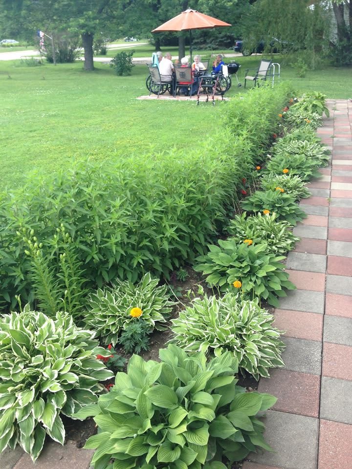 A well-maintained garden with lush greenery and a paved pathway.