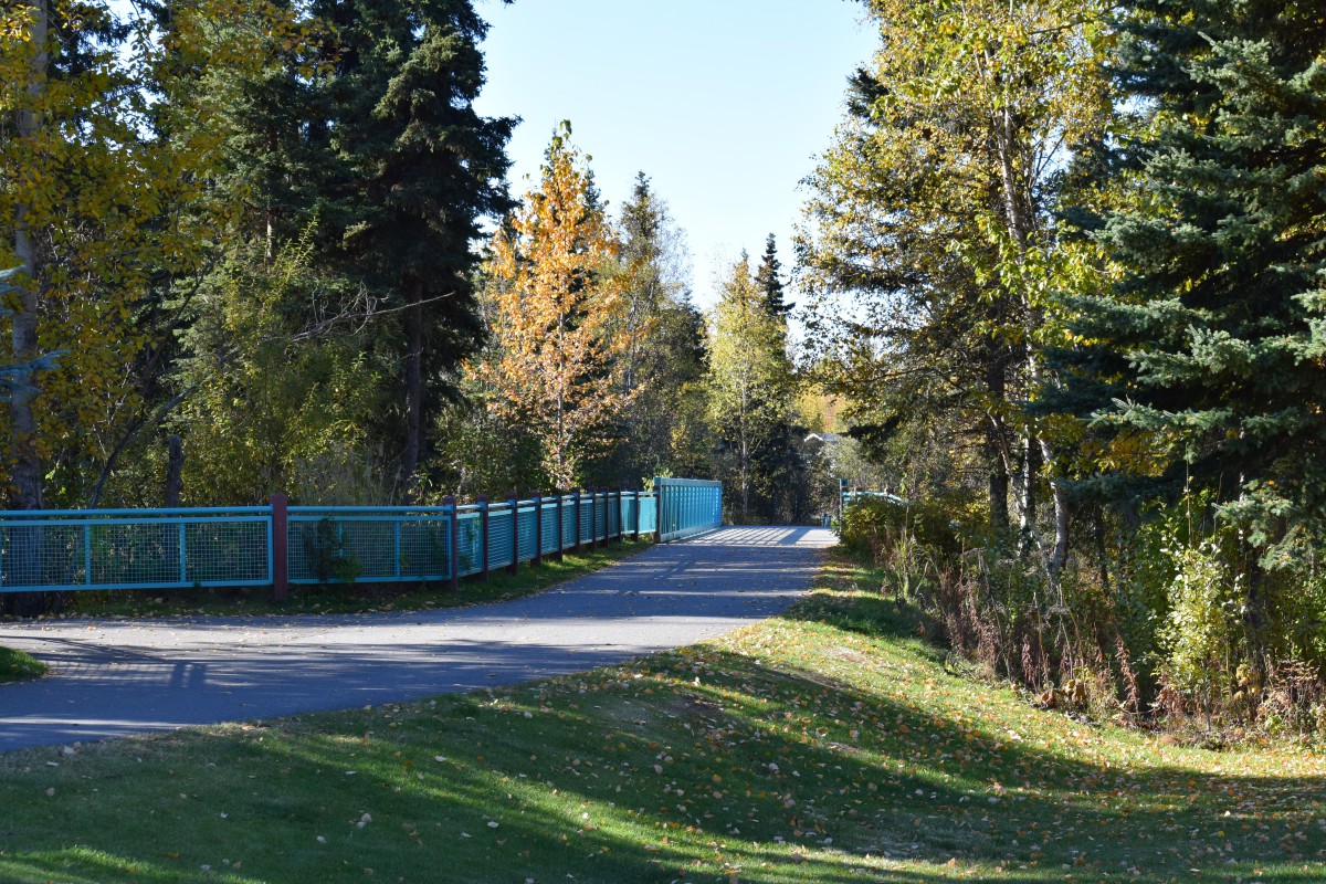 A scenic path lined with trees and a fence, capturing a calm autumn day.