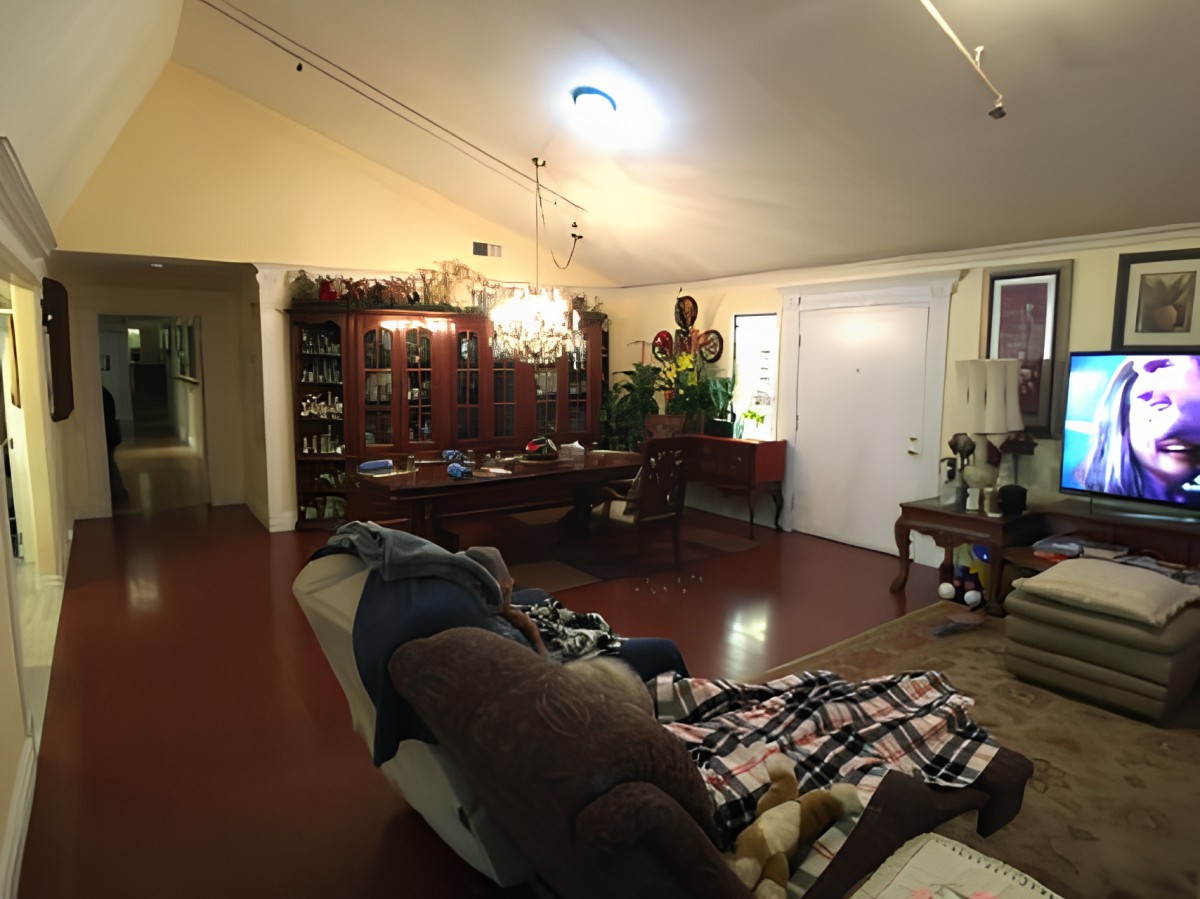 A cozy living room with a sofa, bookshelf, and decorative plants.