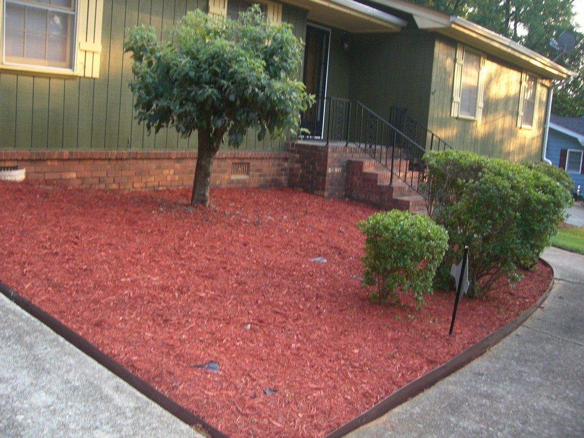 A well-maintained front yard with red mulch, a small tree, and bushes in front of a house.