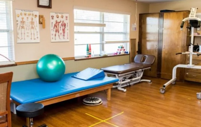 A physical therapy room equipped with an exercise ball, therapy tables, and anatomical posters on the walls.