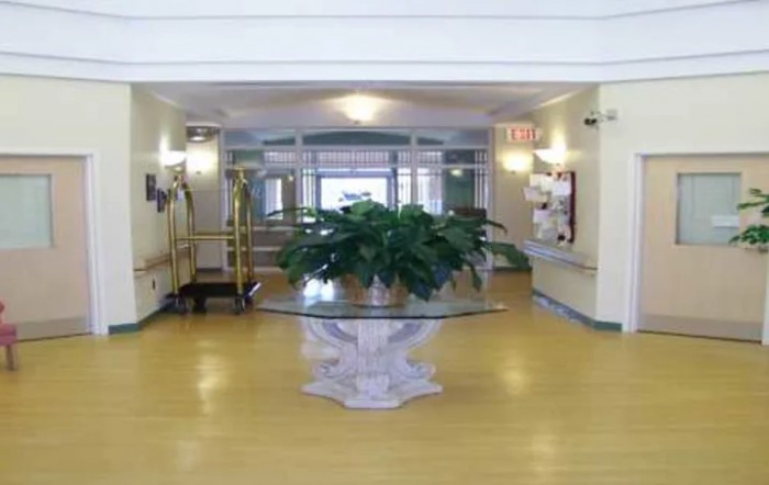 A spacious lobby area with a decorative plant on a table.