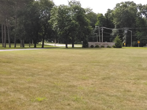 A peaceful landscape featuring a grassy area bordered by trees and a road in the background.