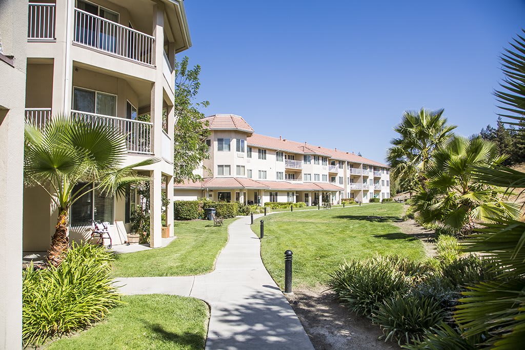 A sunny day at a landscaped apartment complex with a pathway and green lawns.