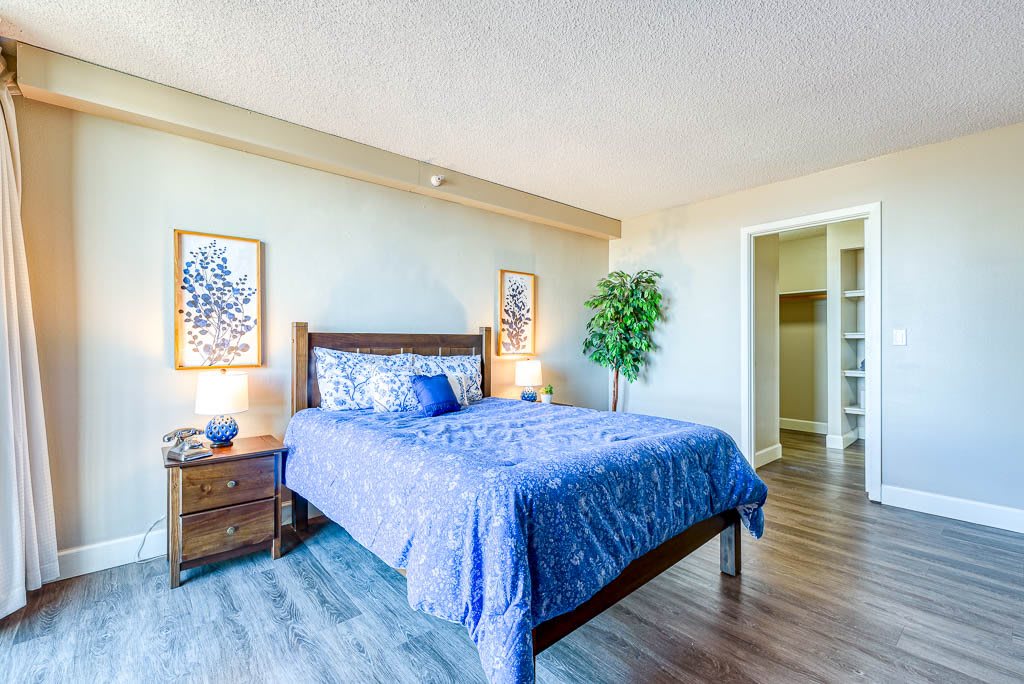 A cozy bedroom with a blue-themed decor, featuring a bed, side table, artwork, and a potted plant.