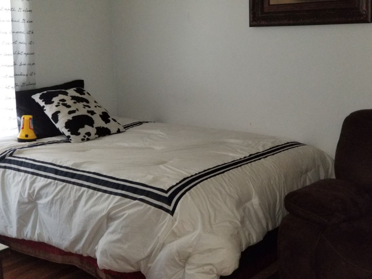 A neatly made bed with a patterned pillow in a cozy bedroom.