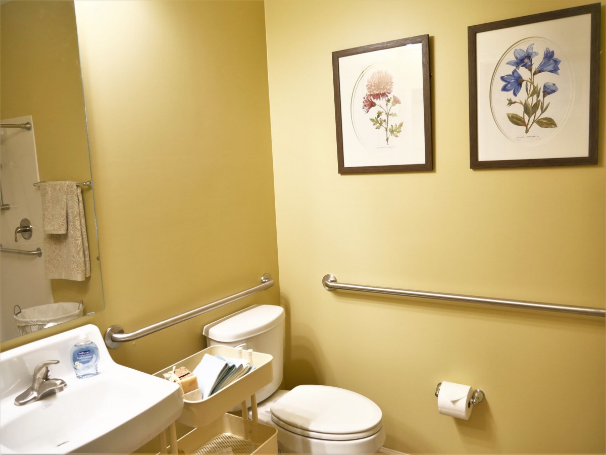 A well-lit bathroom featuring a toilet, handrails for accessibility, and decorative artwork on the walls.