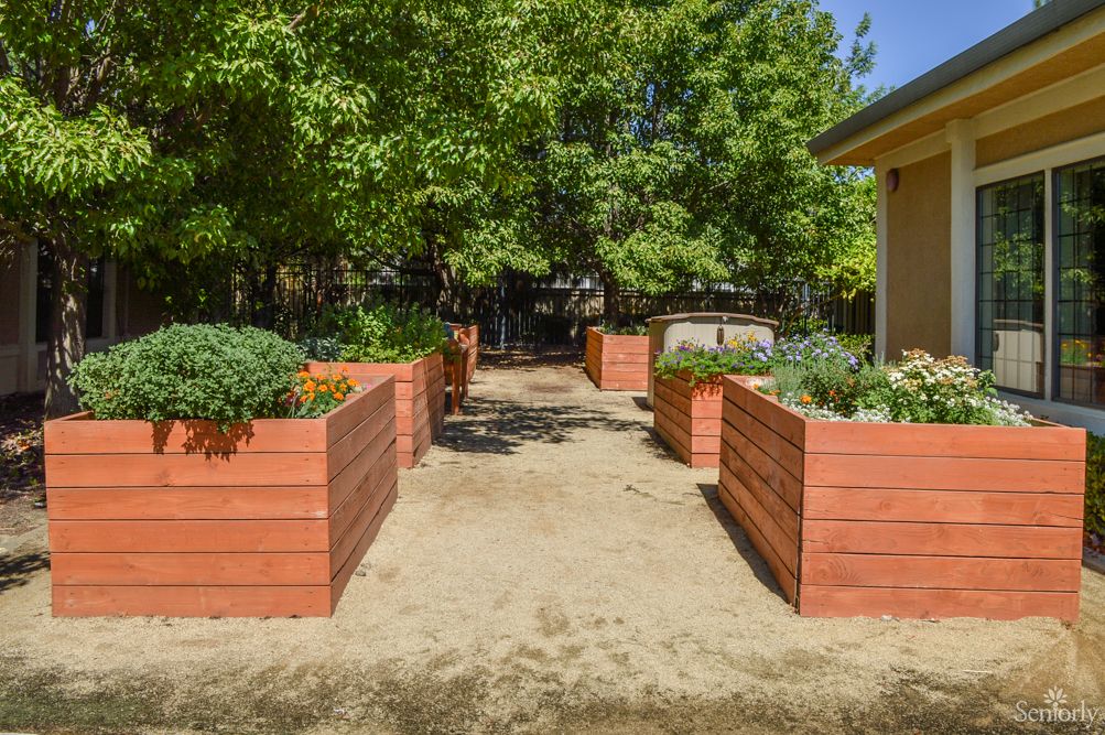 A garden with raised wooden beds filled with various plants and vegetables, surrounded by trees.