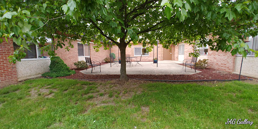 A serene outdoor space featuring a tree and patio area surrounded by grass.