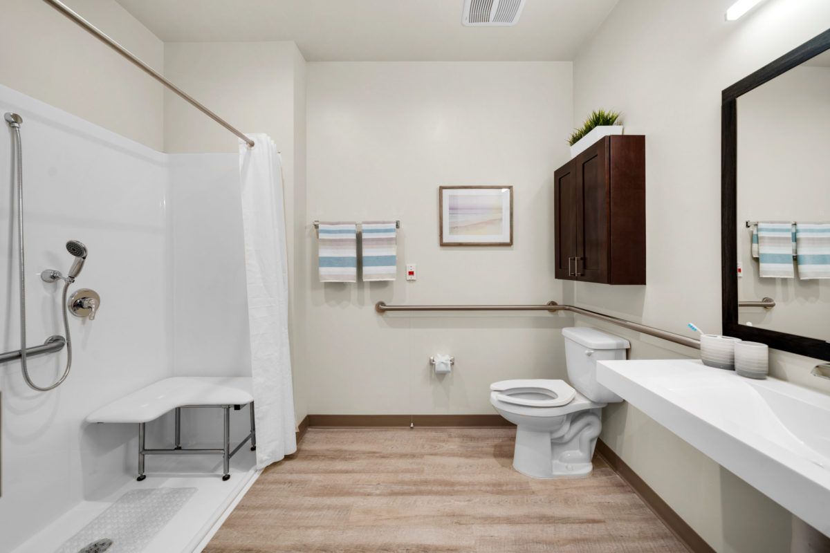 A modern, accessible bathroom with a shower, toilet, and safety grab bars.