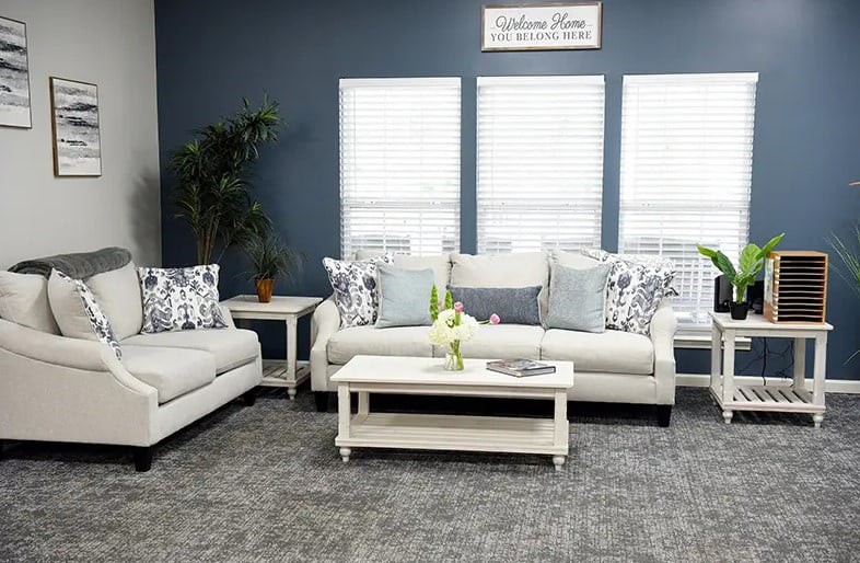 A modern living room with a sofa set and coffee table, decorated with pillows, an indoor plant, and wall art.