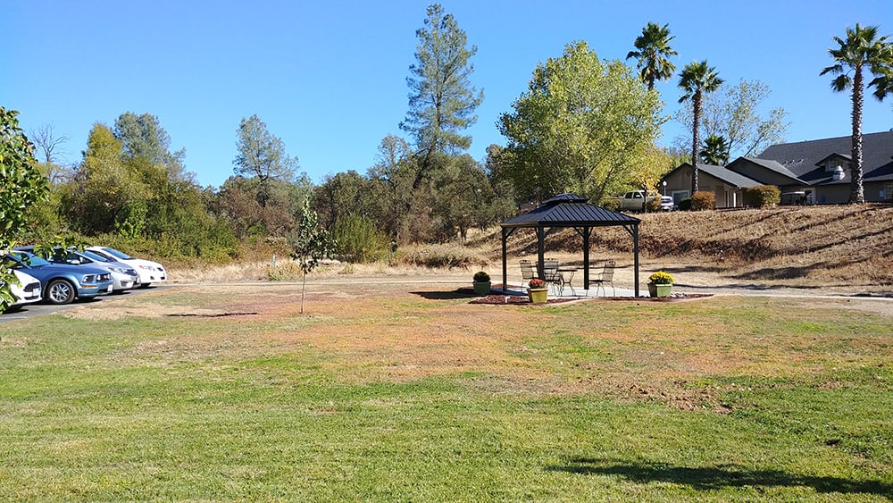 A scenic view of a park with a pavilion surrounded by trees and open grassy areas.