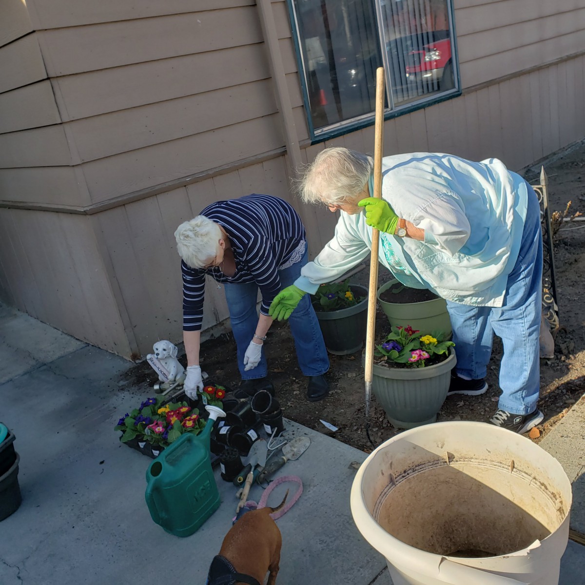 Two people gardening together outside a building.