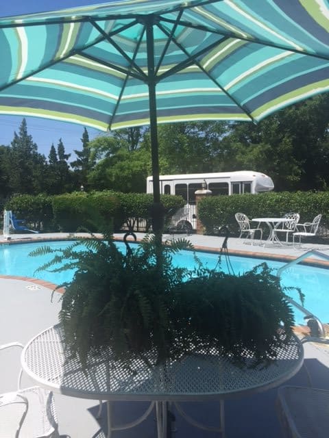 A sunny day by the pool with a striped umbrella and outdoor seating.