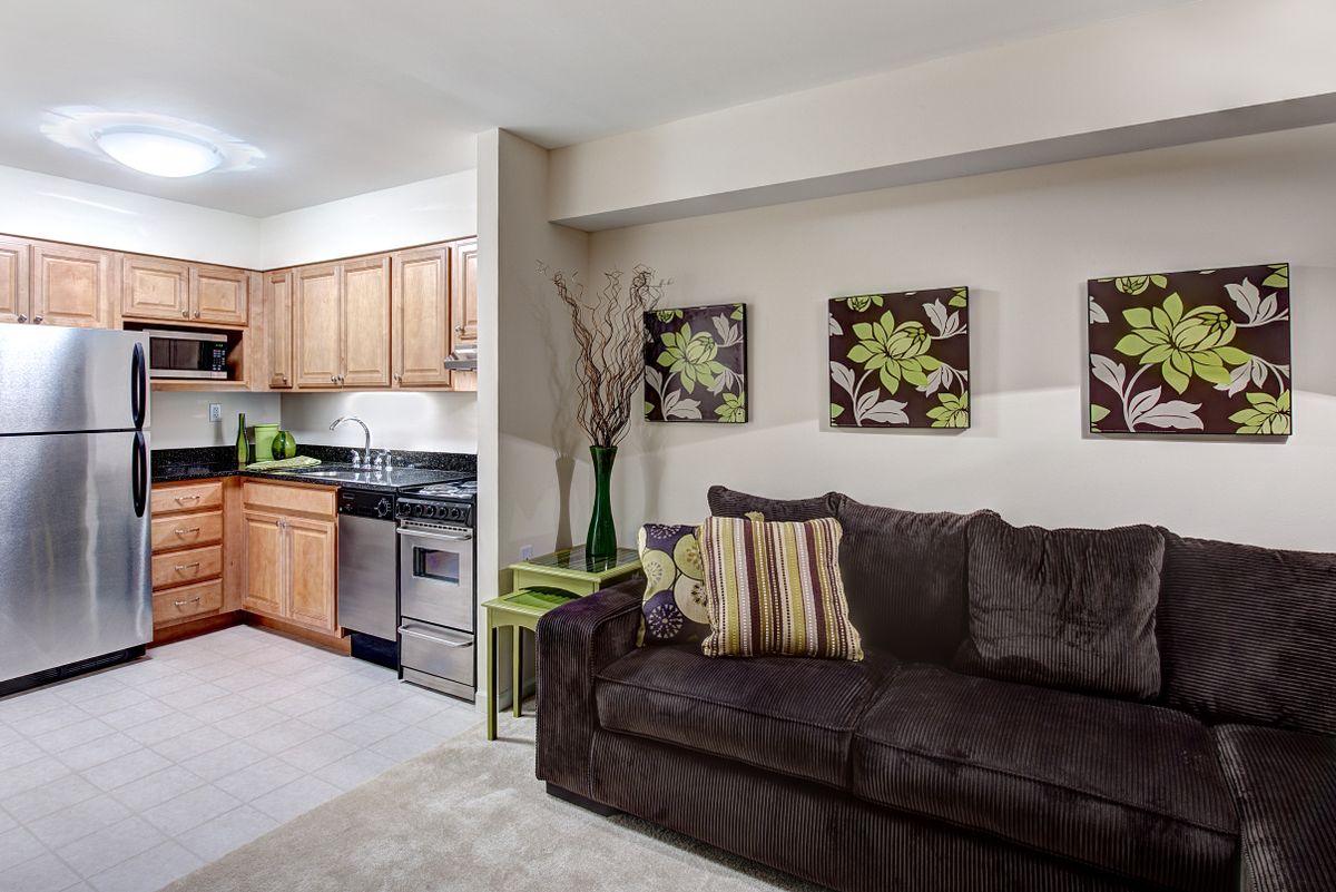 A cozy living room with an open kitchen featuring a dark sofa and stylish decor elements.