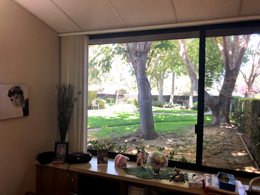 A serene view of a green outdoor area through an office window, showcasing trees and landscaped surroundings.
