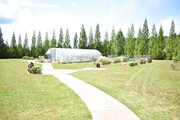 A serene outdoor garden with a greenhouse, surrounded by trees and a curved pathway.