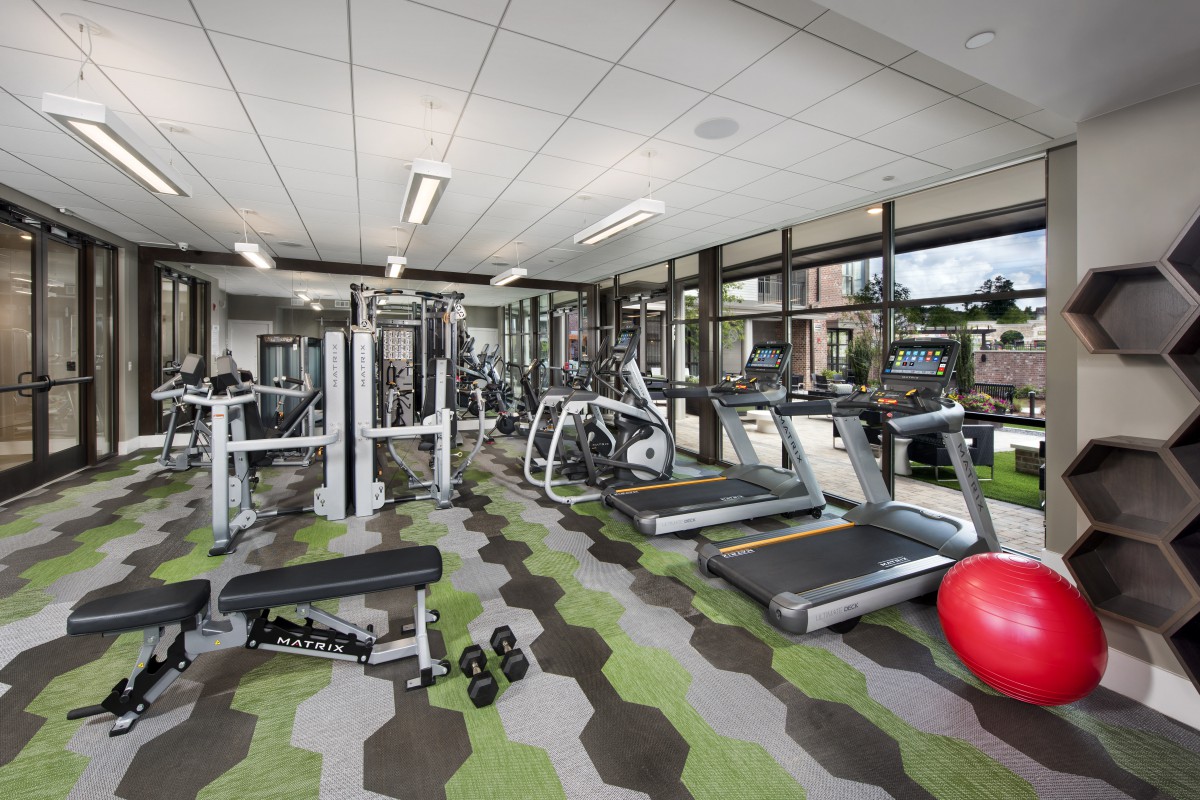 A modern gym equipped with various exercise machines and weights.