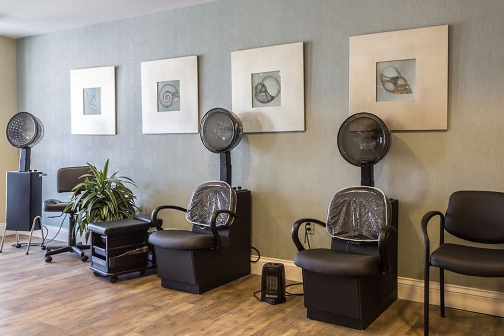 A salon interior featuring two hair drying stations with chairs, framed artwork on the wall, and a plant for decoration.