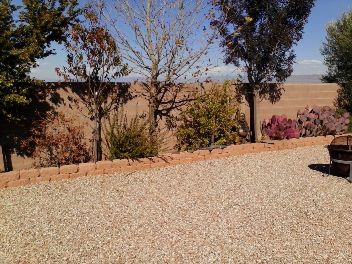 A serene landscape featuring a line of trees along a gravel path with a view of the desert beyond.